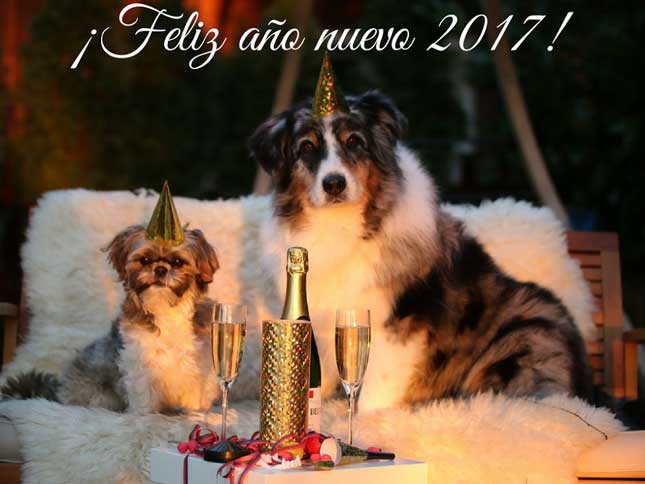 Felices Fiestas