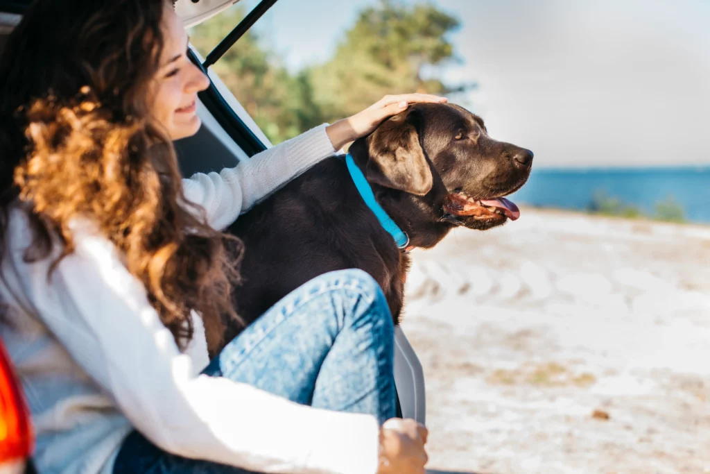 Mi perro se marea en el coche ¿Cómo evitarlo? 5