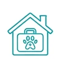 Servicios veterinarios 27 veterinario a domicilio en servicios veterinarios en Madrid