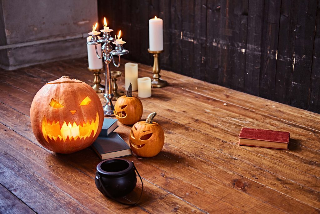 Halloween y mascotas: cómo evitar intoxicaciones y sustos 3 Decoración hogar halloween